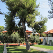 фото из отзыва ID 1041115