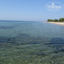 фото из отзыва ID 1041115