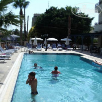 фото из отзыва ID 10561