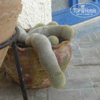 фото из отзыва ID 1050020