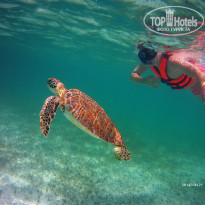 фото из отзыва ID 1050128