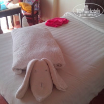 фото из отзыва ID 1050474