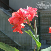 фото из отзыва ID 1050565