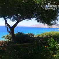 фото из отзыва ID 1050763