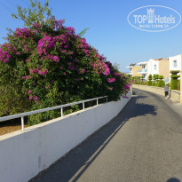 фото из отзыва ID 1050763