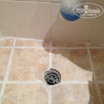 фото из отзыва ID 1050840