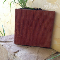 фото из отзыва ID 1050840