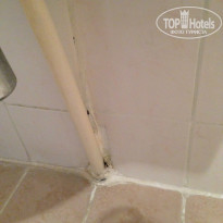 фото из отзыва ID 1050840