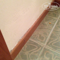 фото из отзыва ID 1050840