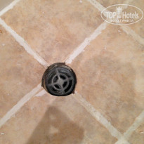 фото из отзыва ID 1050840