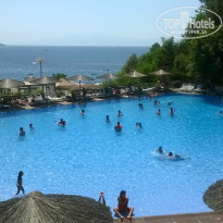 фото из отзыва ID 1051416