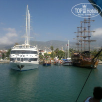 фото из отзыва ID 1051222