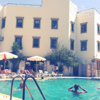 фото из отзыва ID 1051559