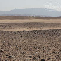 фото из отзыва ID 1050183