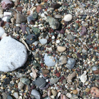 фото из отзыва ID 1051803