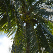 фото из отзыва ID 1051937