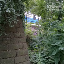 фото из отзыва ID 1051965