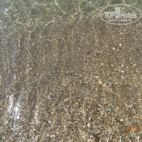 фото из отзыва ID 1052395