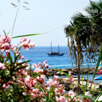 фото из отзыва ID 1052402