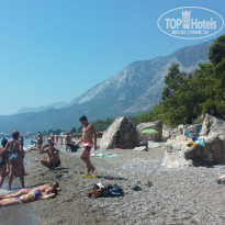 фото из отзыва ID 1052591