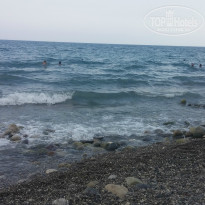 фото из отзыва ID 1052591