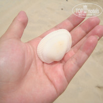 фото из отзыва ID 1052953