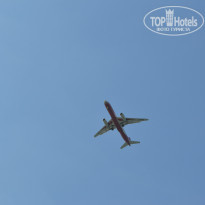 фото из отзыва ID 1053033