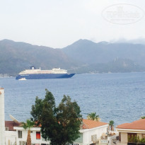 фото из отзыва ID 1050373