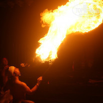 фото из отзыва ID 1053155