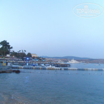 фото из отзыва ID 1053163