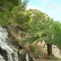 фото из отзыва ID 1053345