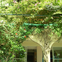 фото из отзыва ID 1053345