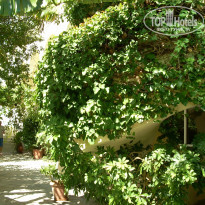 фото из отзыва ID 1053345