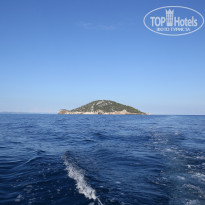 фото из отзыва ID 1053371