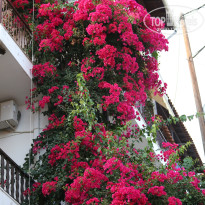 фото из отзыва ID 1053371