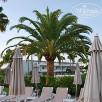 фото из отзыва ID 1053386