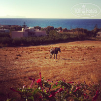 фото из отзыва ID 1053611