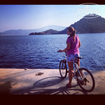 фото из отзыва ID 1053712