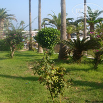 фото из отзыва ID 1053748