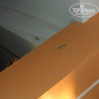 фото из отзыва ID 1053813