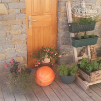 фото из отзыва ID 1051694