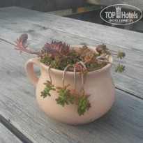 фото из отзыва ID 1051694