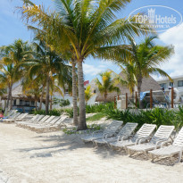 фото из отзыва ID 1053969