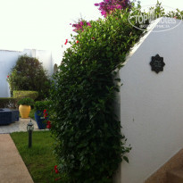 фото из отзыва ID 1054469