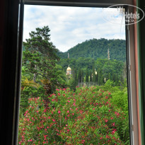 фото из отзыва ID 1054870