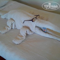 фото из отзыва ID 1054908