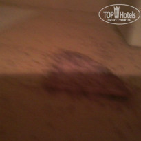 фото из отзыва ID 1054937