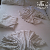 фото из отзыва ID 1054942