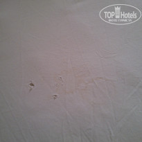 фото из отзыва ID 1054942