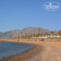 фото из отзыва ID 1054905